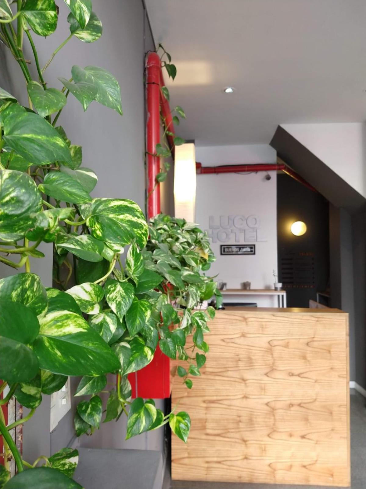 Luco Hotel Buenos Aires Ngoại thất bức ảnh